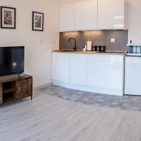 Apartament Kopernika 49 罗兹 外观 照片